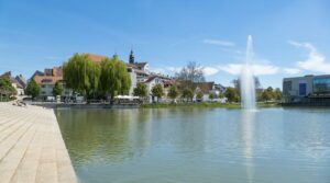 Westentasche „Böblingen“ – Erfolgreich im Immobiliengeschäft – Steffen Meyer Immobilien